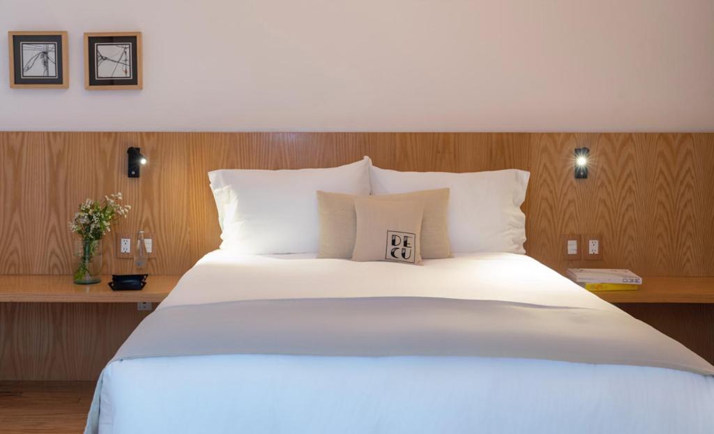 Casa Decu Hotel Mexico City Ngoại thất bức ảnh