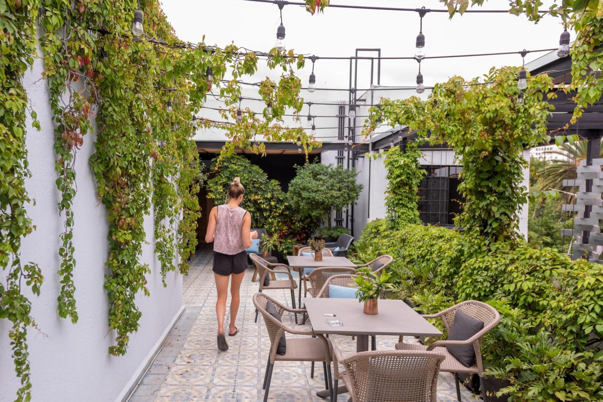 Casa Decu Hotel Mexico City Ngoại thất bức ảnh