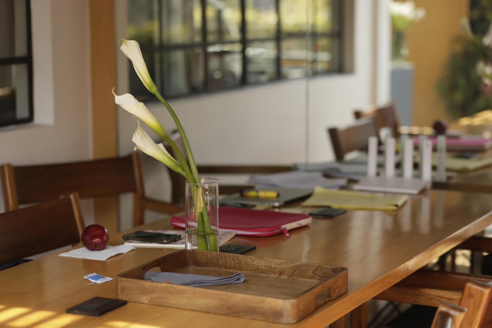 Casa Decu Hotel Mexico City Ngoại thất bức ảnh