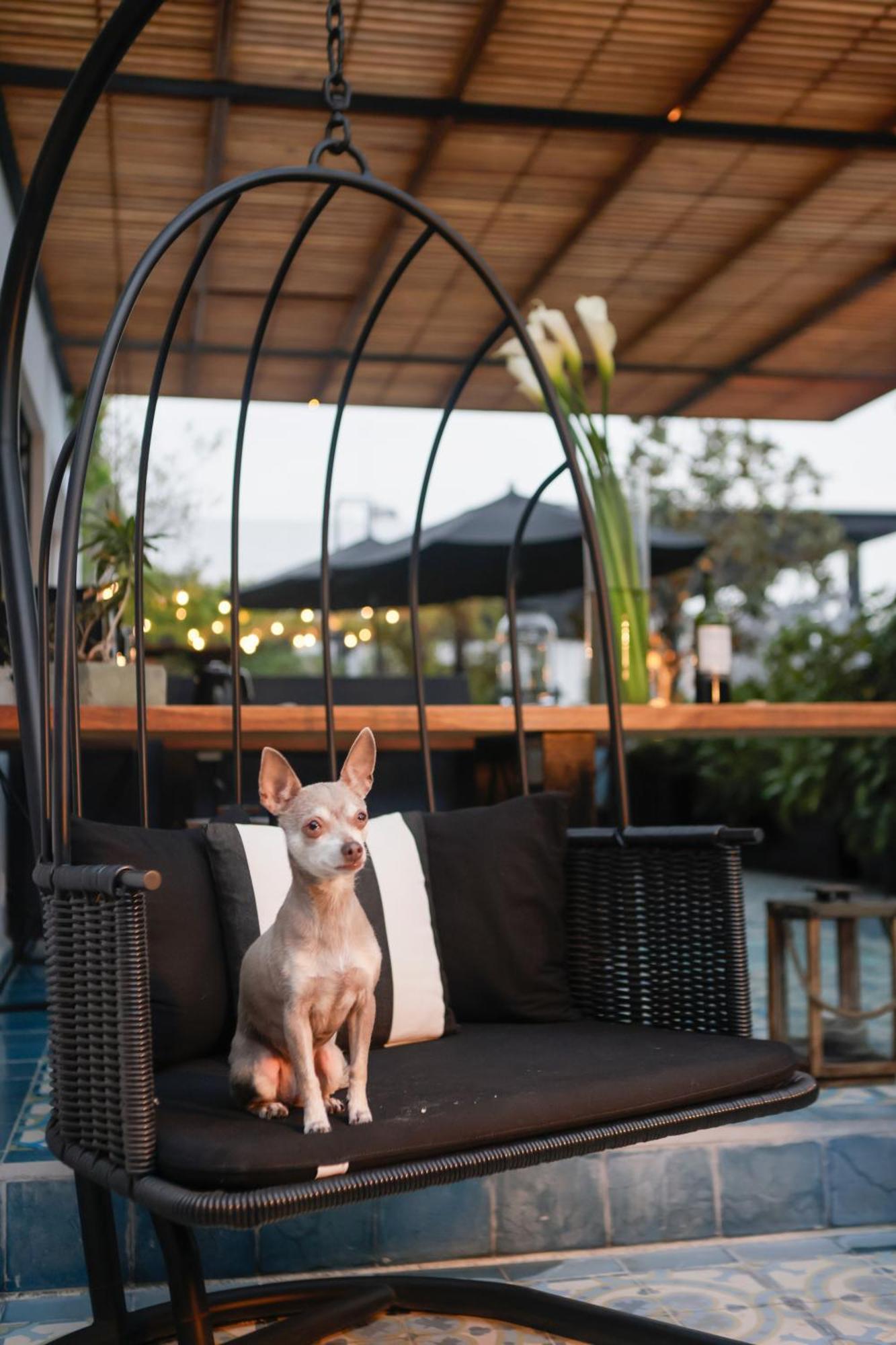 Casa Decu Hotel Mexico City Ngoại thất bức ảnh